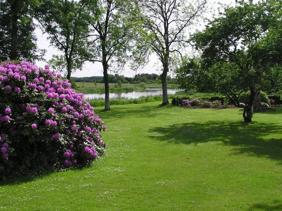 Day, Garden