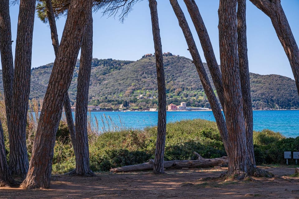 Natural landscape, Beach