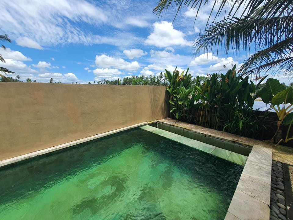 Private Villas Tirtam Villa in Blahbatuh