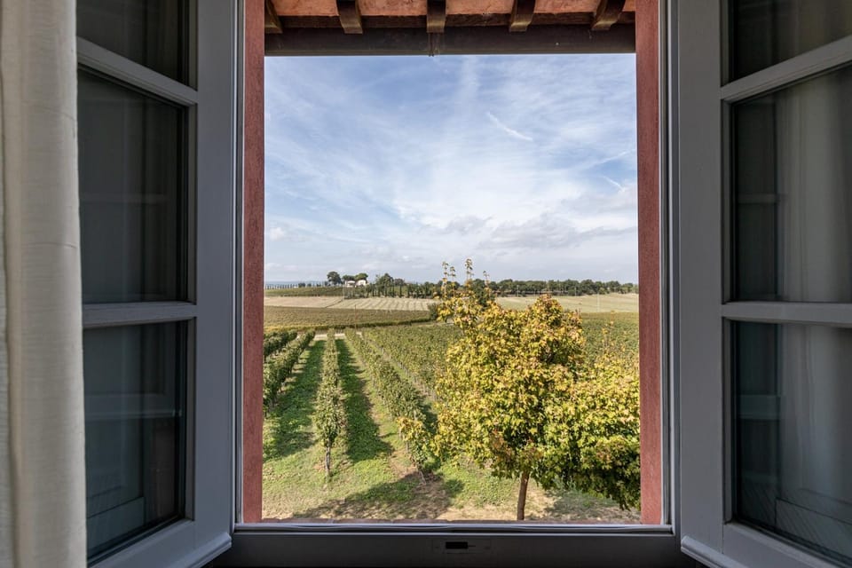View (from property/room)
