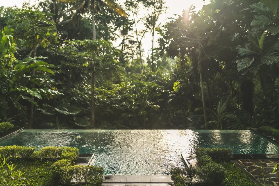 Natural landscape, Garden, Garden view, Swimming pool