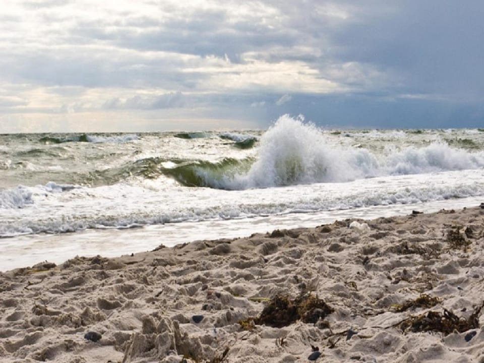 Natural landscape, Beach