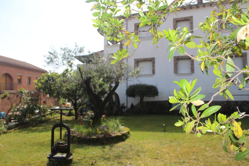 Property building, Garden view