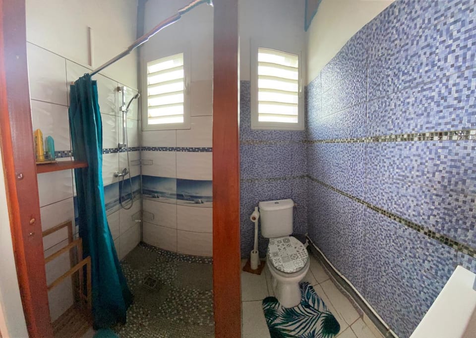 Shower, Toilet