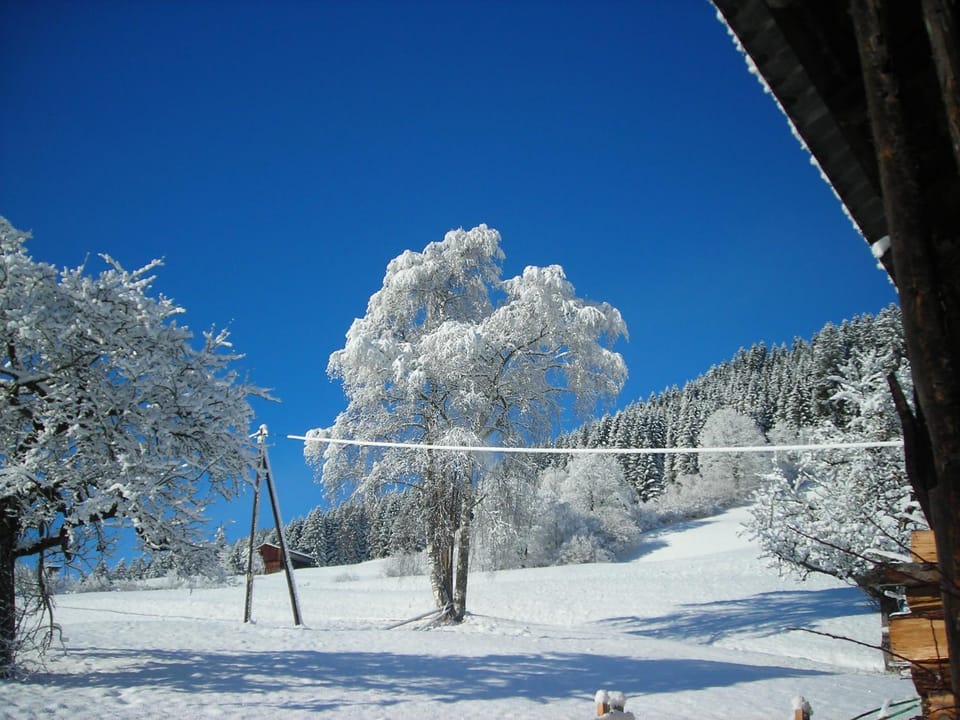 Day, Natural landscape, Winter