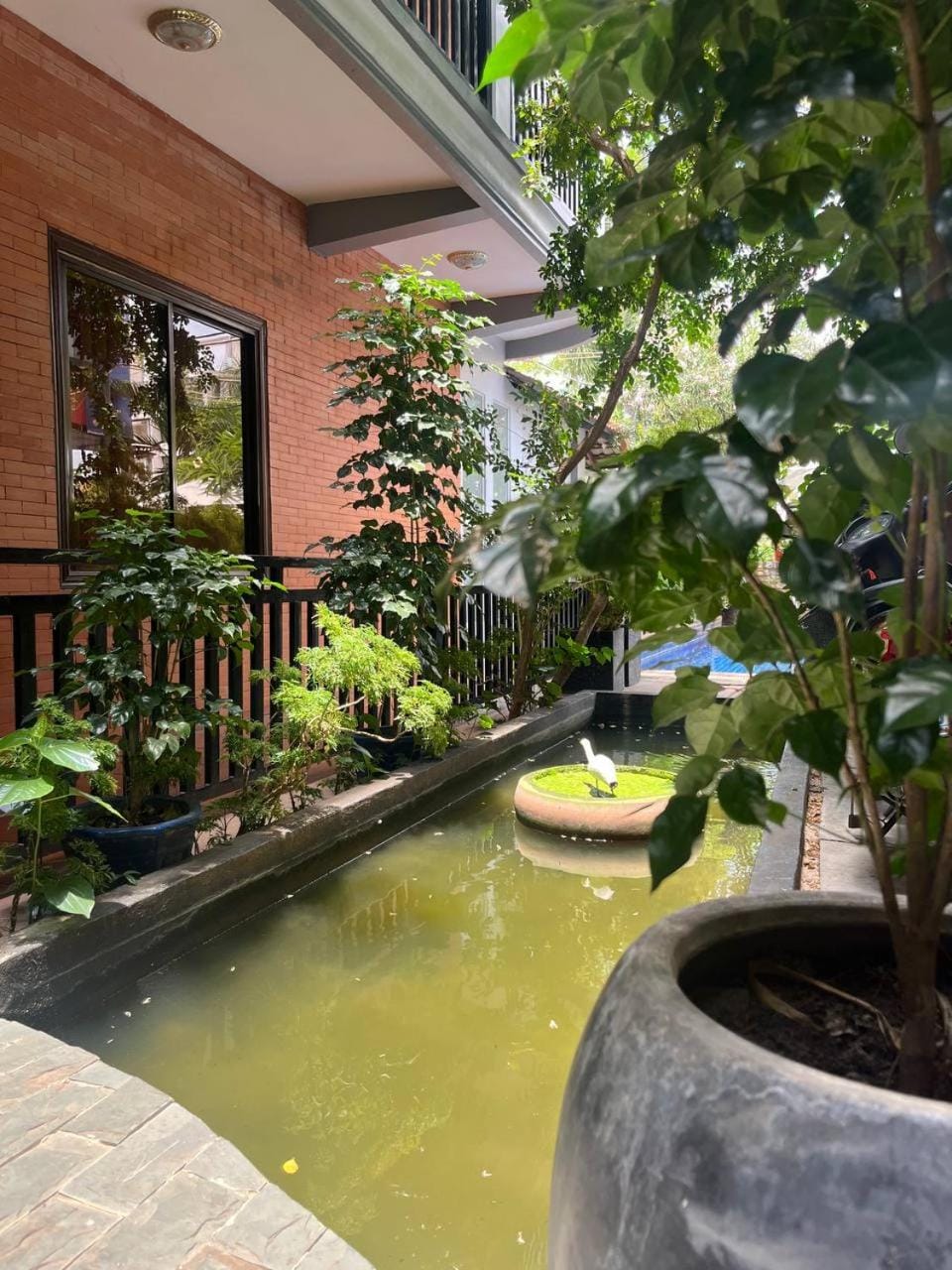 Property building, Patio, Day, Garden