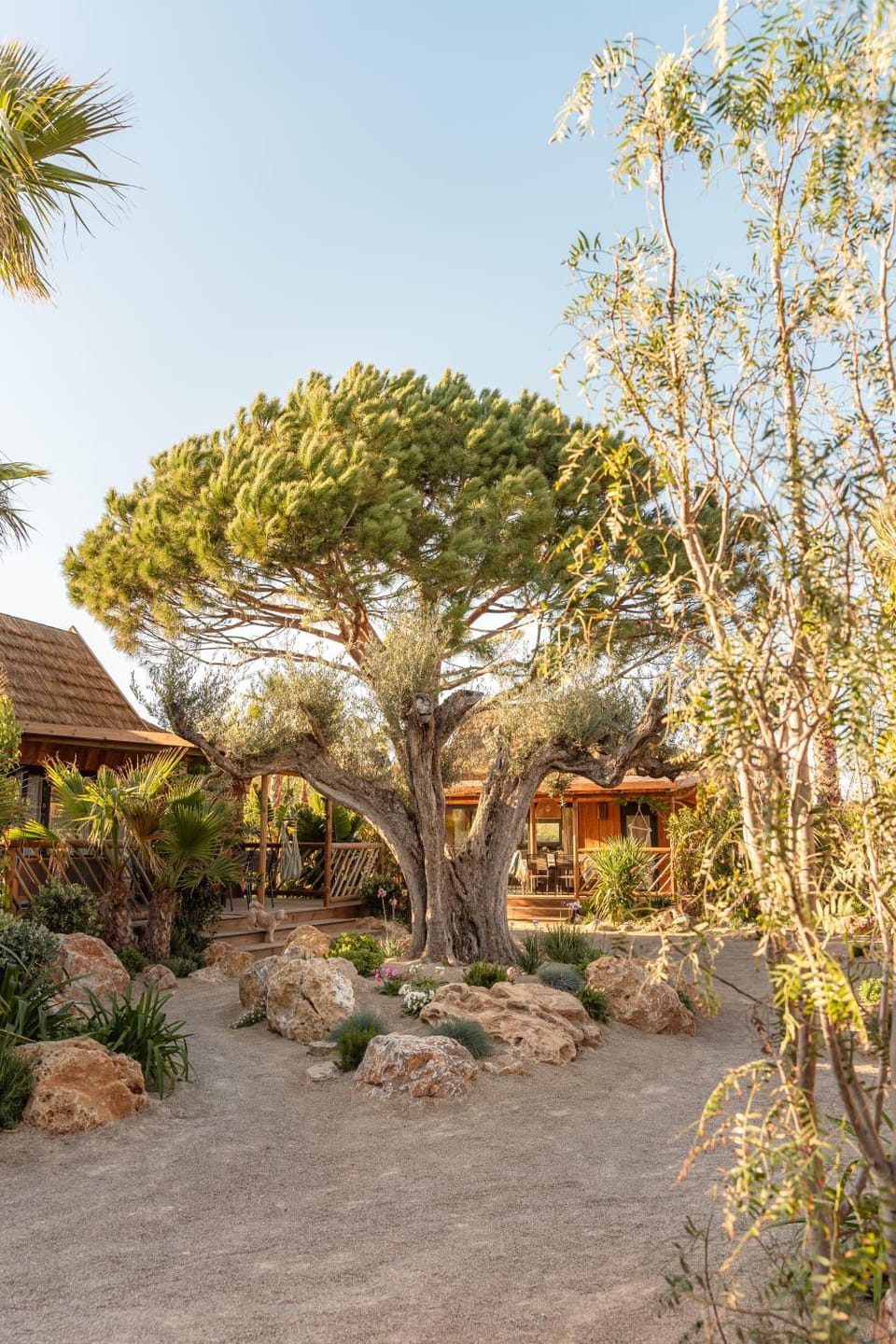 Day, Natural landscape, Garden, Garden view