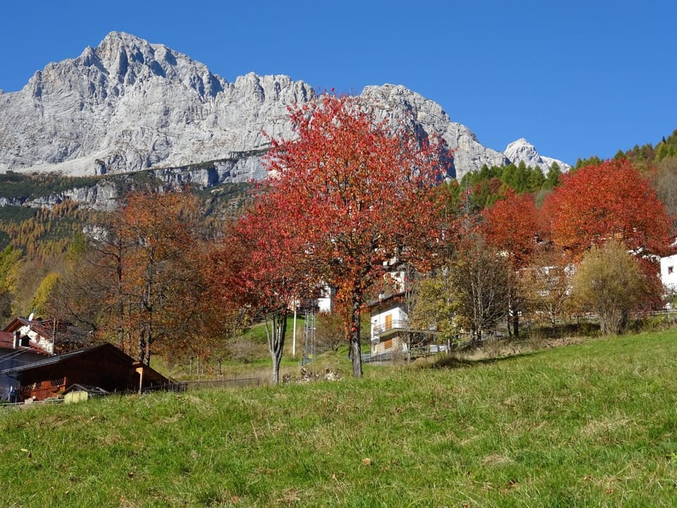 Natural landscape