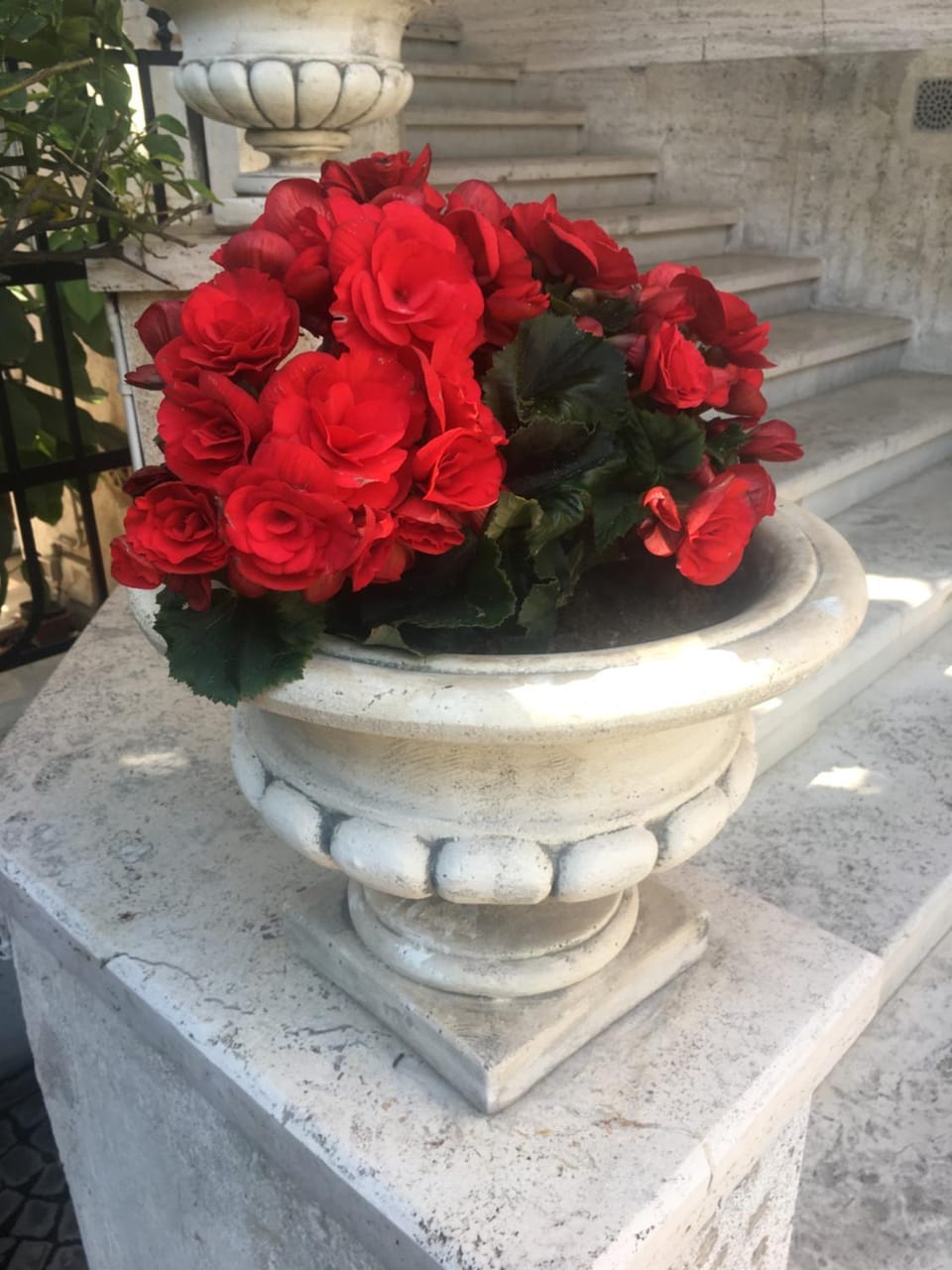 Suite Oriani Bed and Breakfast in Rome
