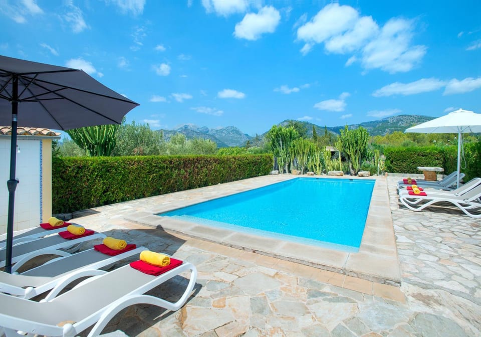 Patio, Spring, Day, Natural landscape, Garden, Solarium, Garden view, Mountain view, Pool view, Swimming pool, sunbed