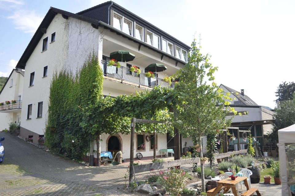 Property building, Garden view