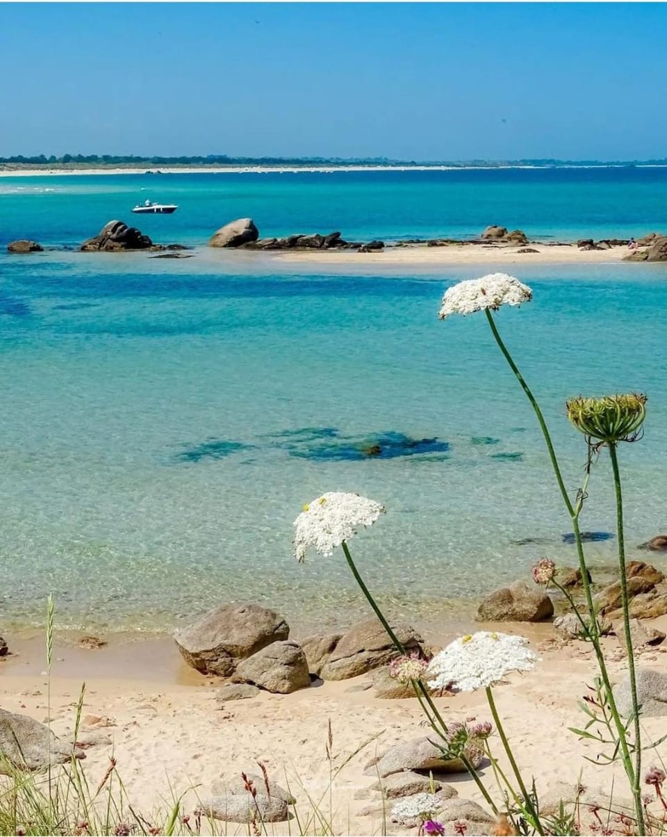 Les chambres de l'Atelier Bed and Breakfast in Pont-Aven