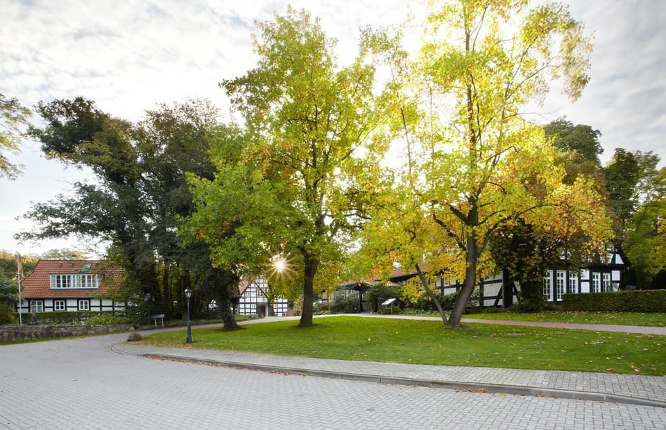 Patio, Facade/entrance, Garden