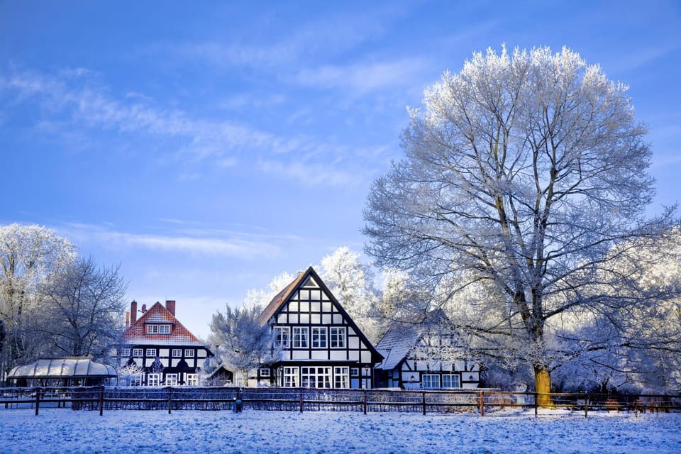 Winter, Garden, On site