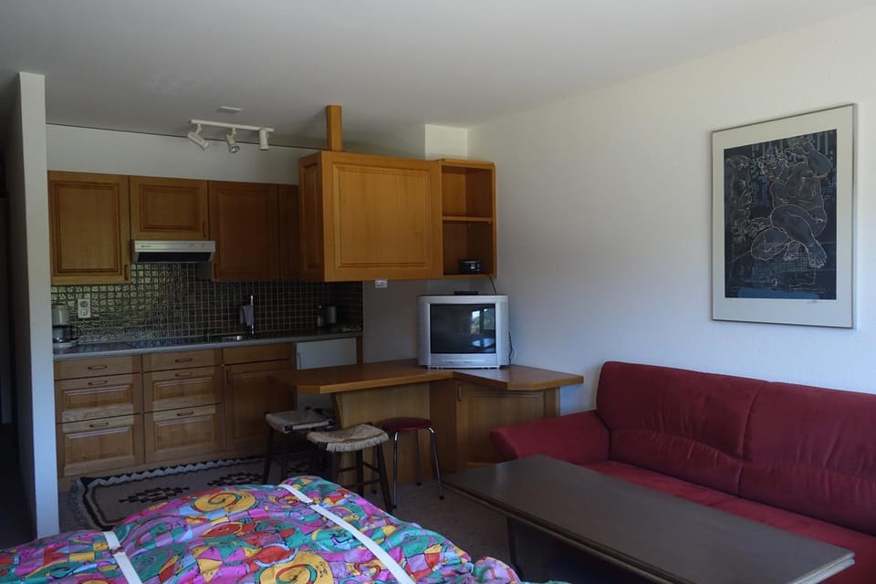 Casa La Foppa 28 Apartment in Canton of Grisons