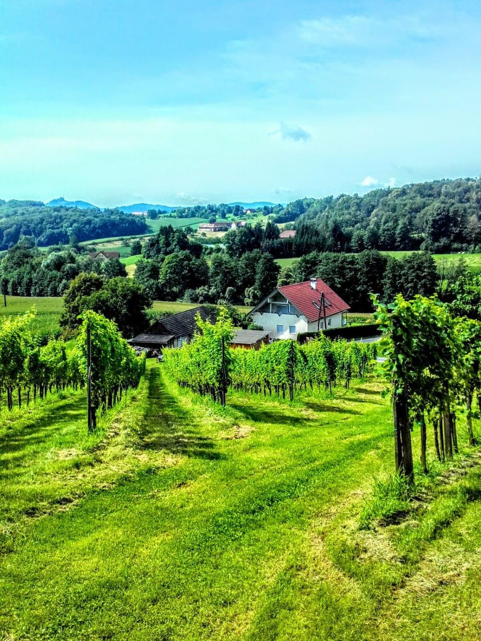 Neighbourhood, Natural landscape
