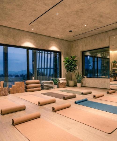 Spa and wellness centre/facilities