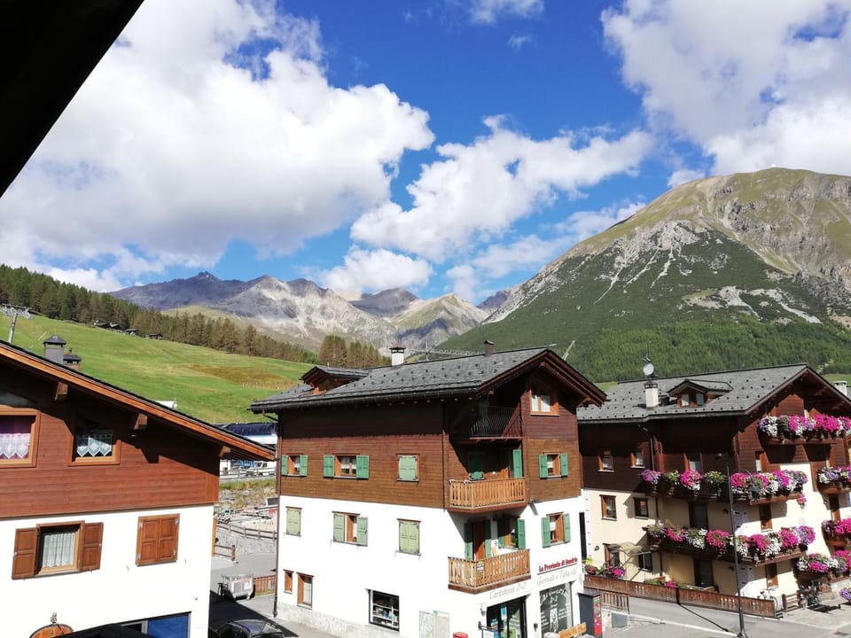 Mountain view