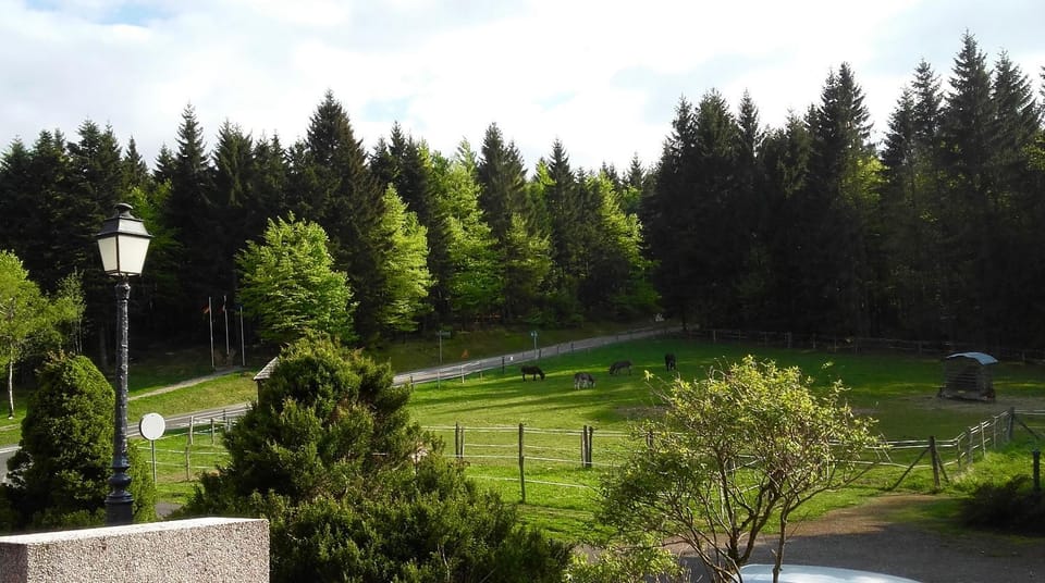 View (from property/room)