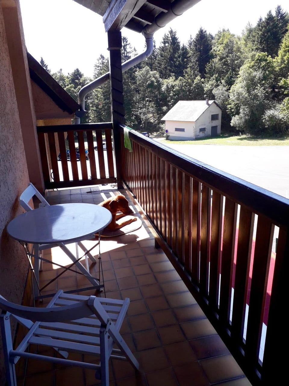 Appartement la Charbonnière Apartment in Grand Est