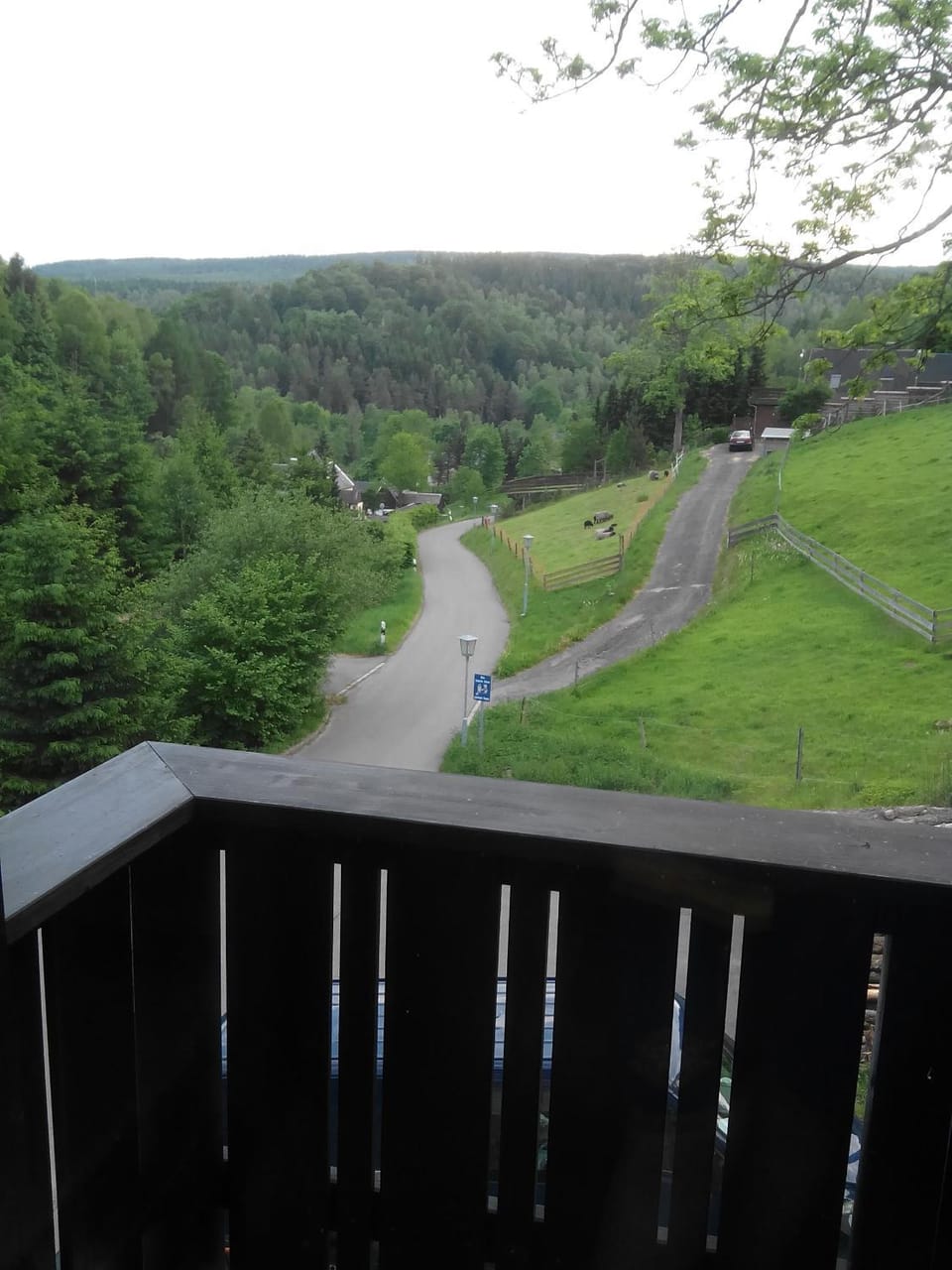 Mountain view, Quiet street view