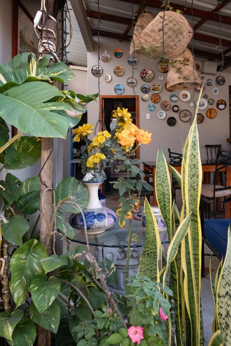 Patio, Balcony/Terrace