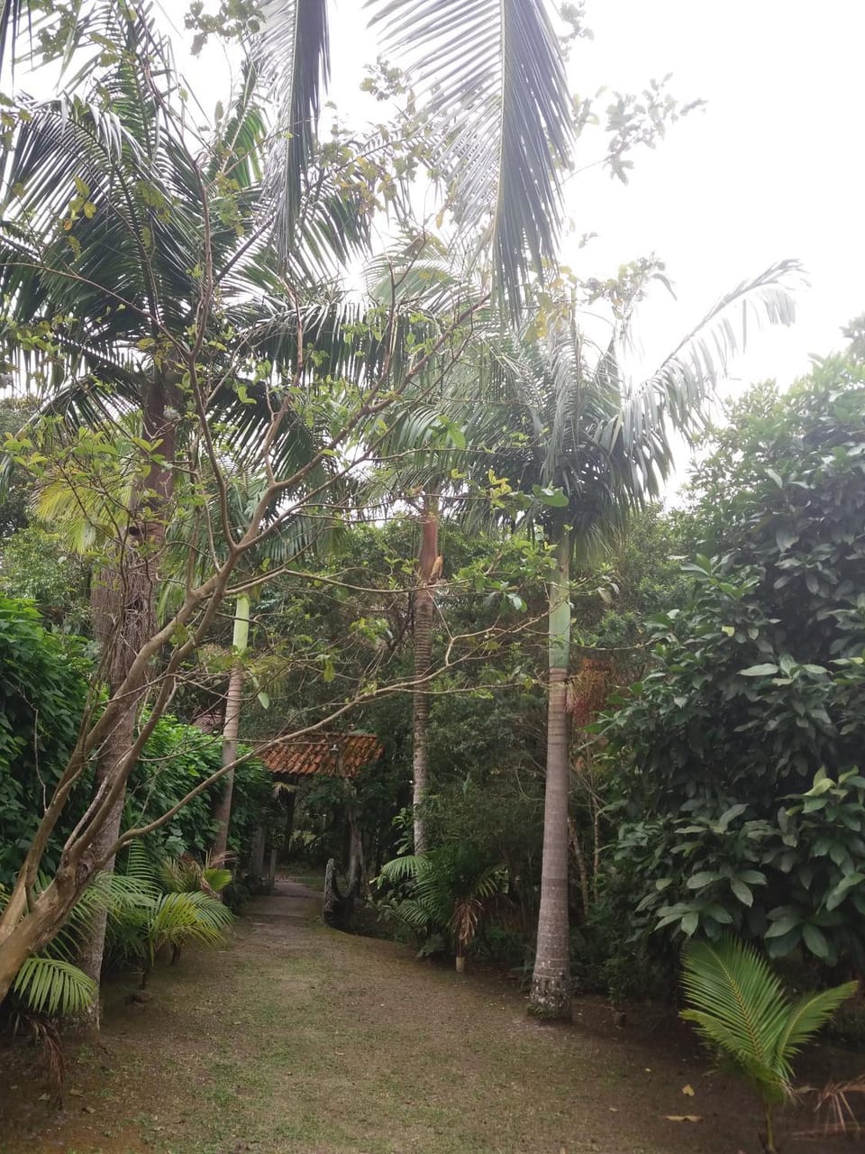 Pousada do Carlito Inn in State of Paraná