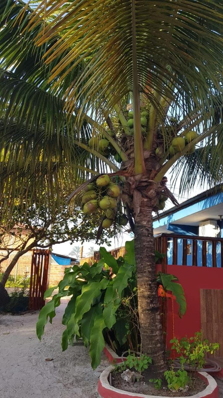 Casas Barra Sol Bed and Breakfast in State of Bahia