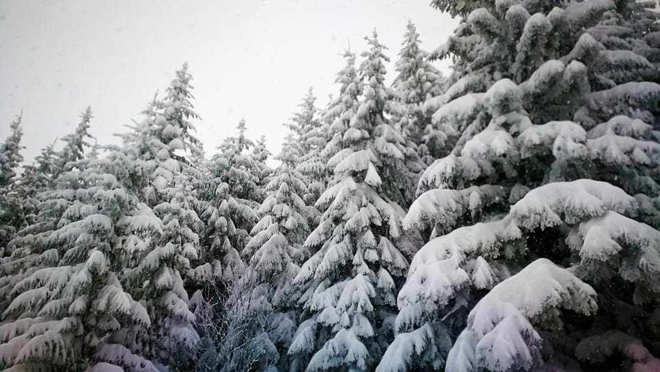 Winter