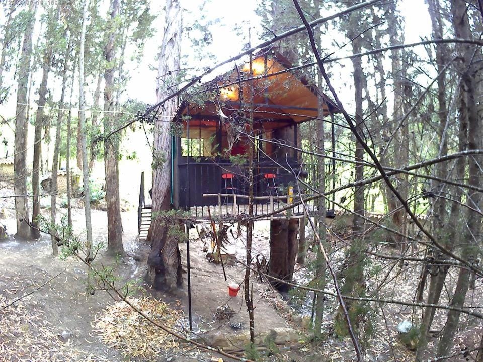 Despierta En El Árbol Desayuno Americano a tu ritmo somos Petfriendly Country House in Boyaca