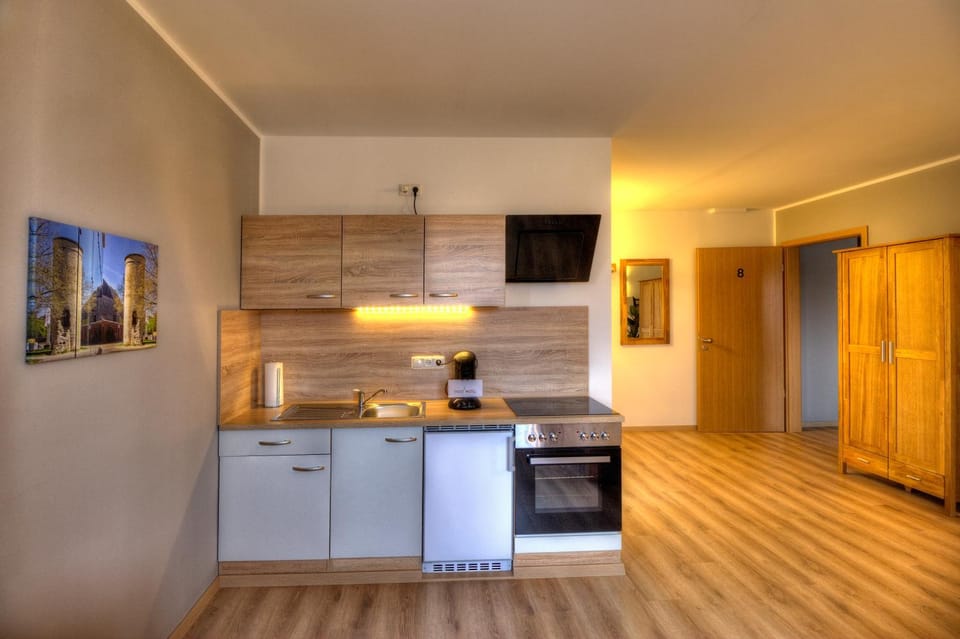 Kitchen or kitchenette, minibar, oven, stove