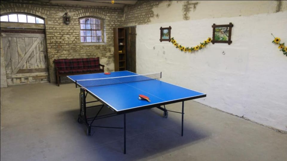 Table tennis, On site