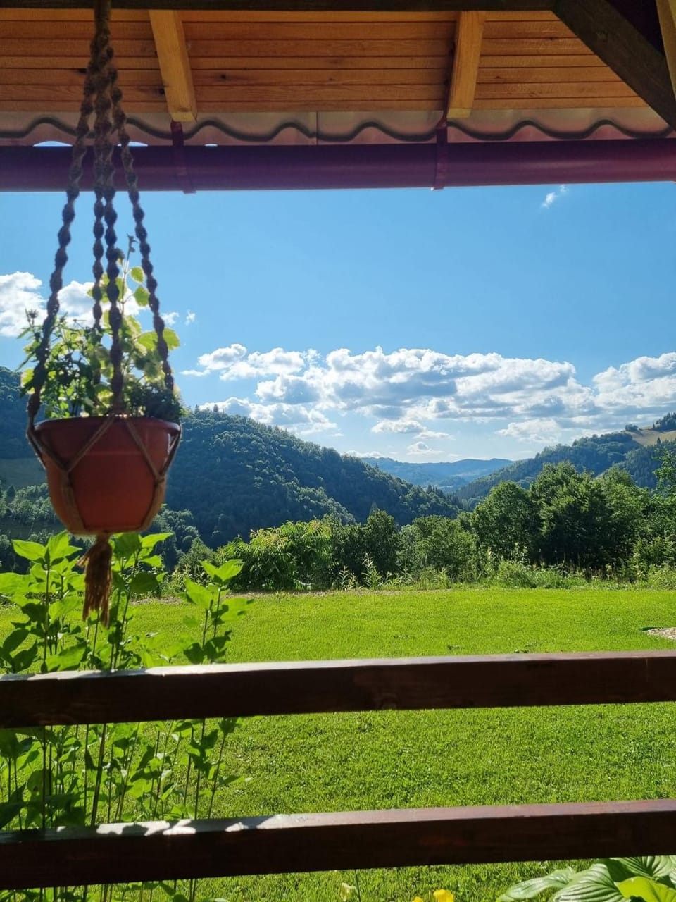 Casa cu Muscate Bed and Breakfast in Romania