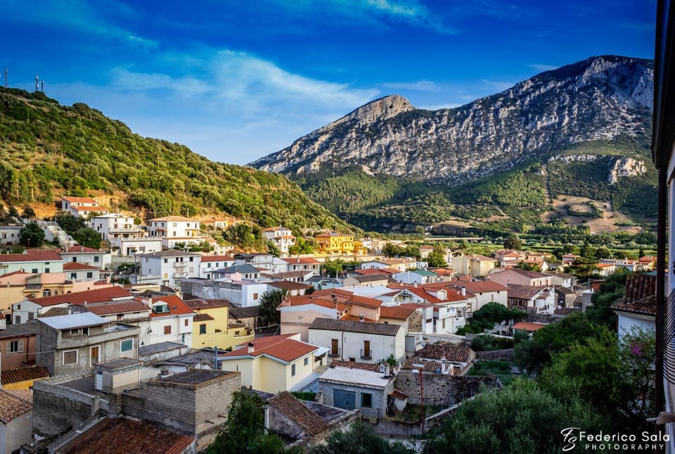 Neighbourhood, Bird's eye view, City view, Mountain view, Street view