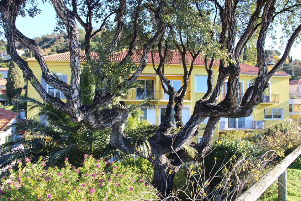 Property building, Natural landscape, Garden