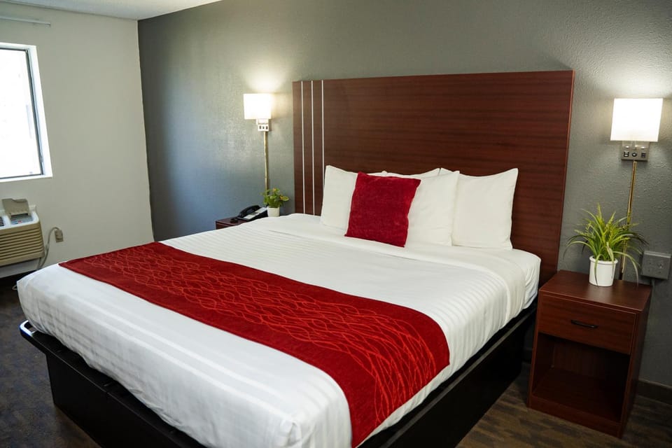 Bed, View (from property/room), Bedroom