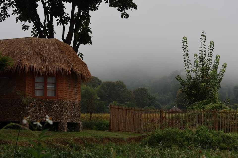Day, Natural landscape