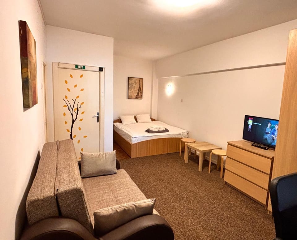 Bed, TV and multimedia, Living room, Photo of the whole room, Seating area, Bedroom