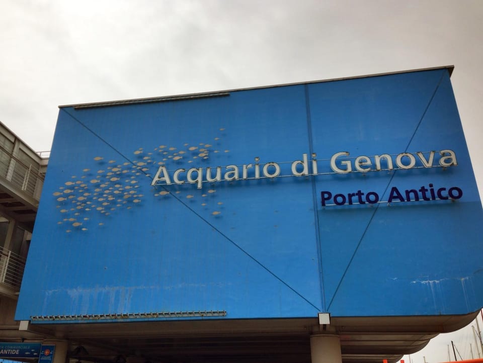 Nearby landmark, Area and facilities