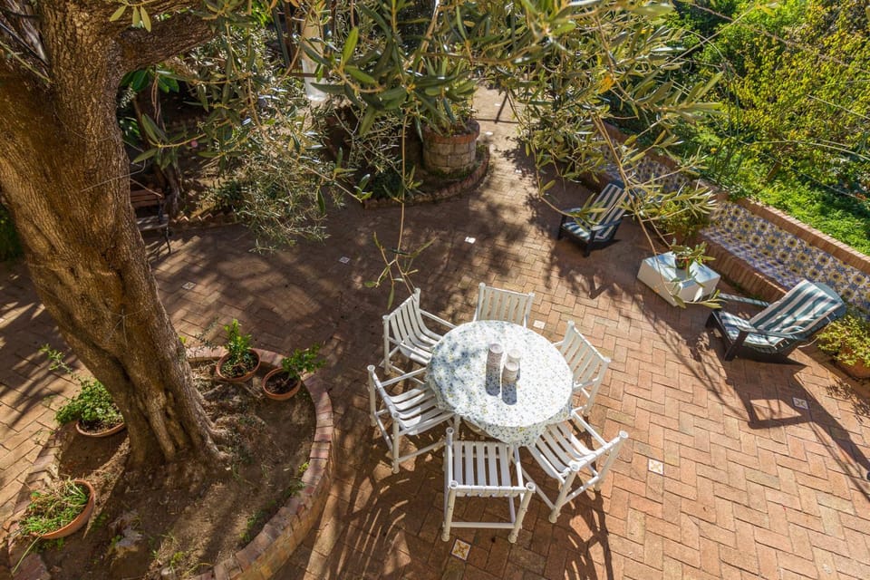 Patio, Garden, Garden