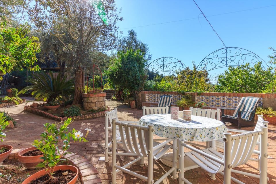 Patio, Garden, Garden