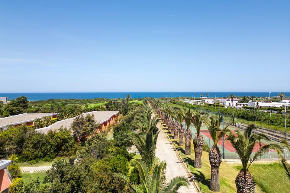 Bird's eye view, Sea view