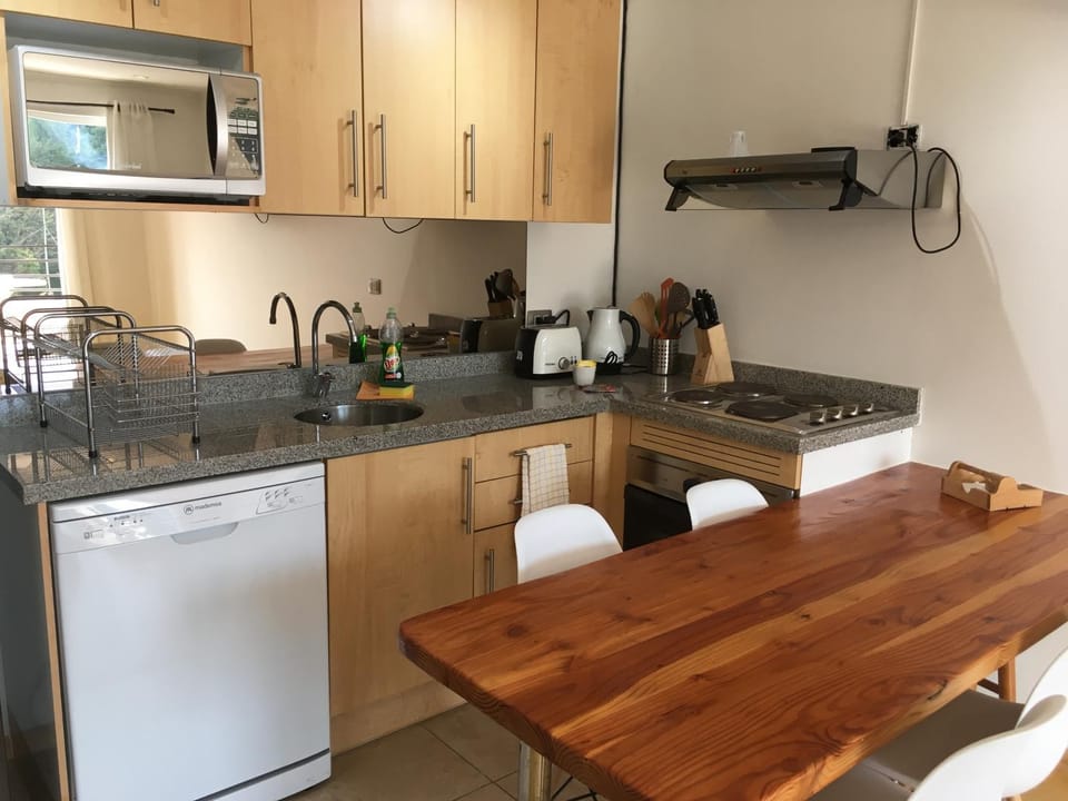 Departamento 501 Apartment in Pucon