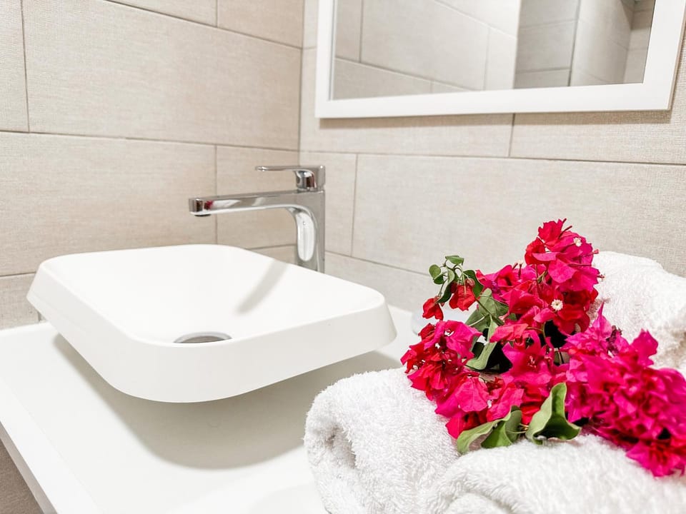 Anse des Rochers Apartment in Grande-Terre, Guadeloupe
