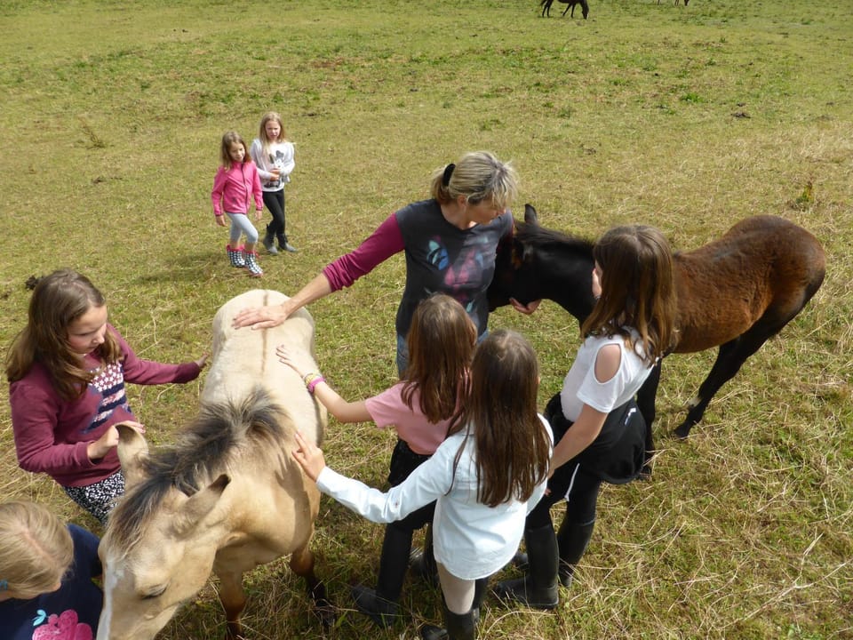 People, Animals, children