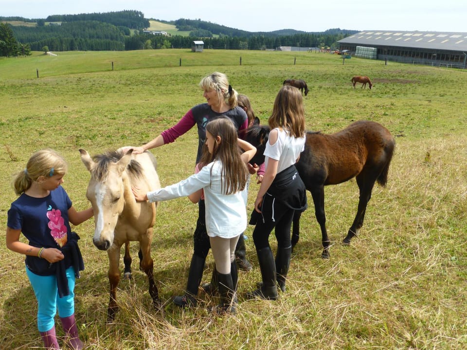 People, Animals, children