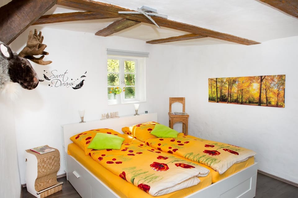 Ferienwohnung Goslar Runenhaus Apartment in Goslar