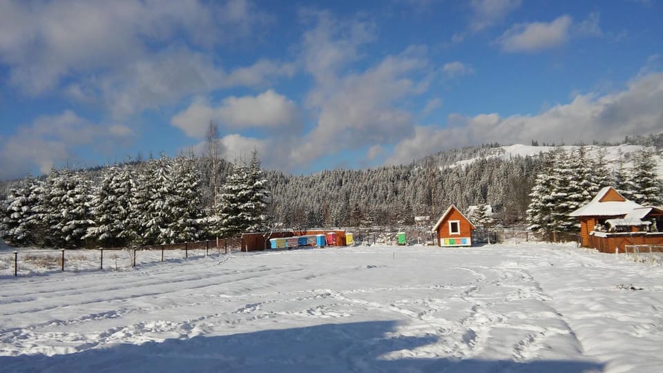 Area and facilities