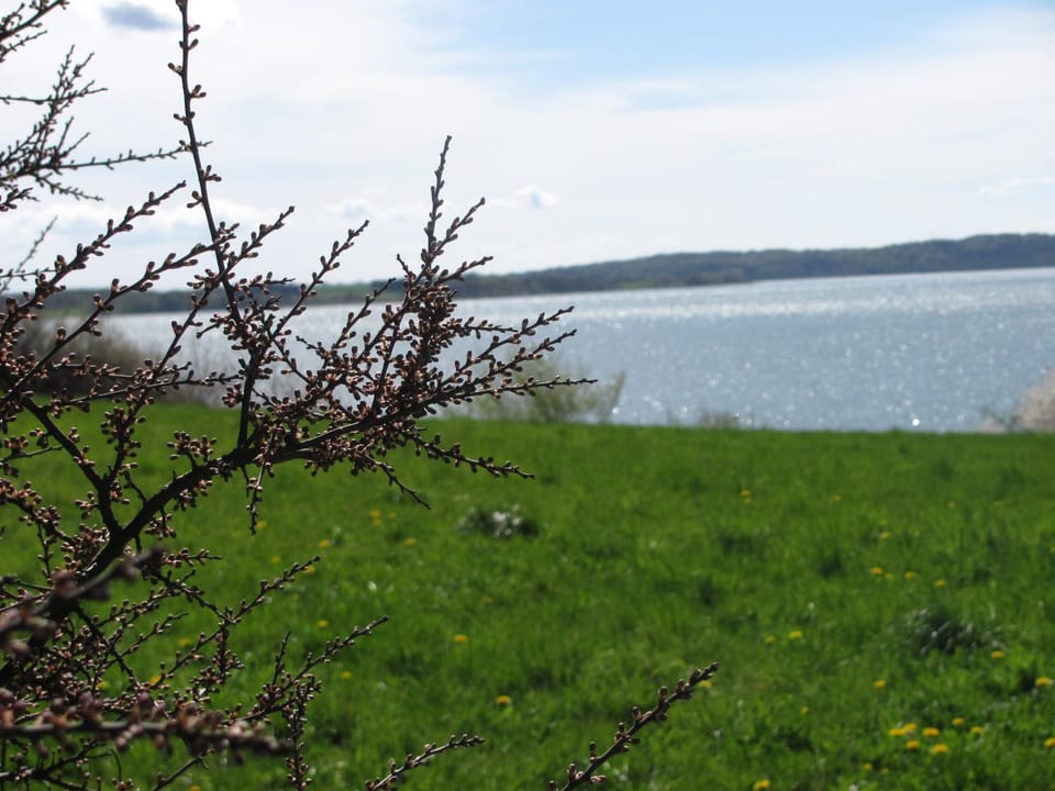 Natural landscape, Lake view