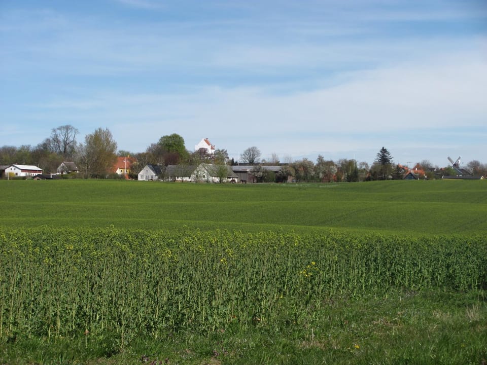 Neighbourhood, Natural landscape